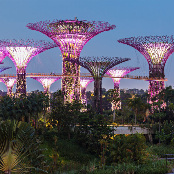 ESG Sustainable Funds